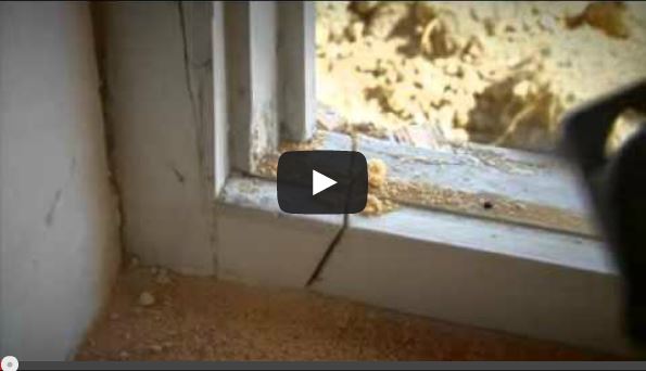 Fenster renovieren Kurzfilm